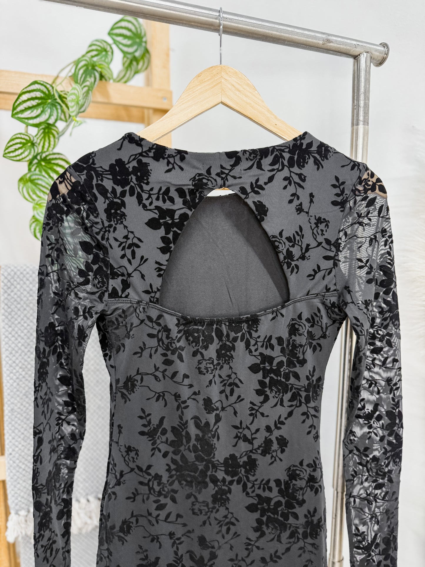 Veronica Velvet Floral Mesh Dress