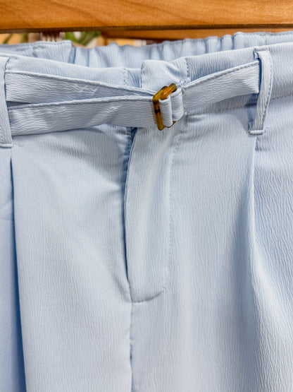 Vania Belted wide Leg Trouser Pants