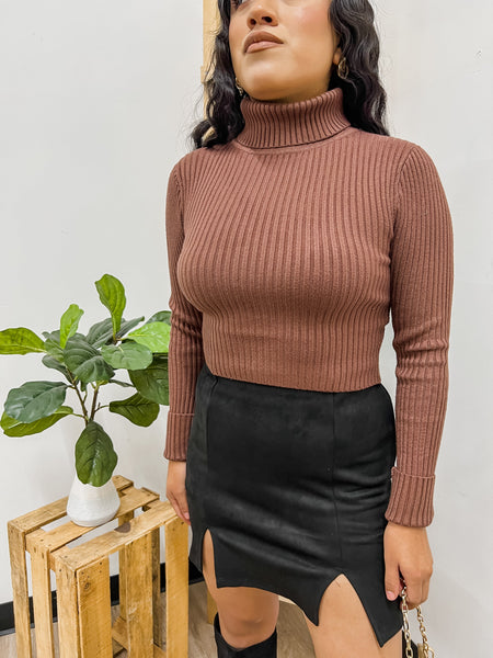 Everleigh Turtle Neck Crop Sweater