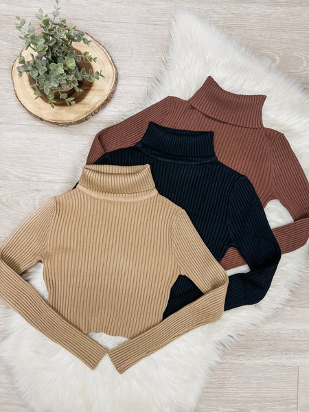 Everleigh Turtle Neck Crop Sweater