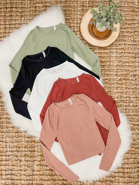 Seamless Long Sleeve Crop Top