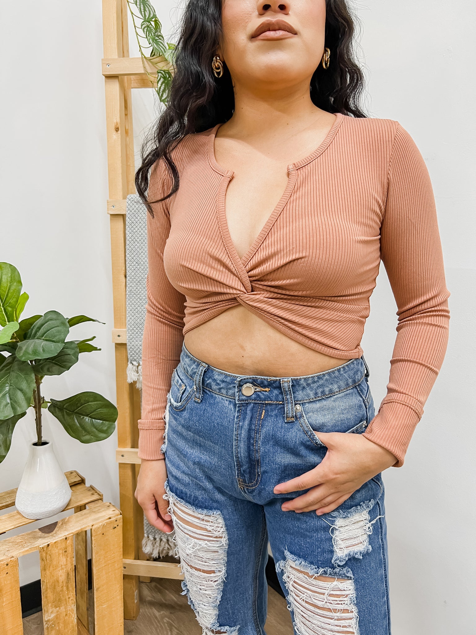 Rayanne Long Sleeve Crop Top