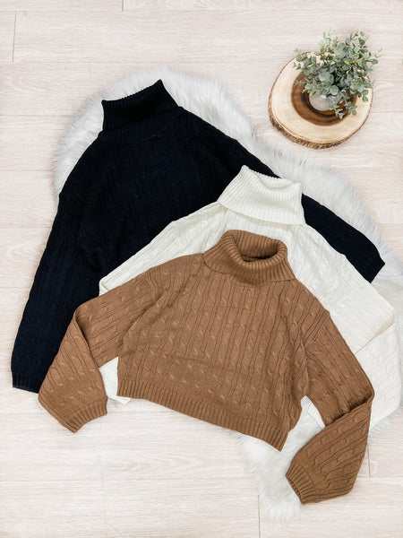 Julissa Cable Knit Crop Sweater